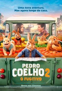 Pedro Coelho 2 - O Fugitivo