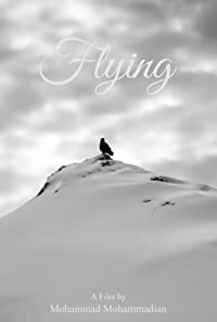 Flying (Flying)
